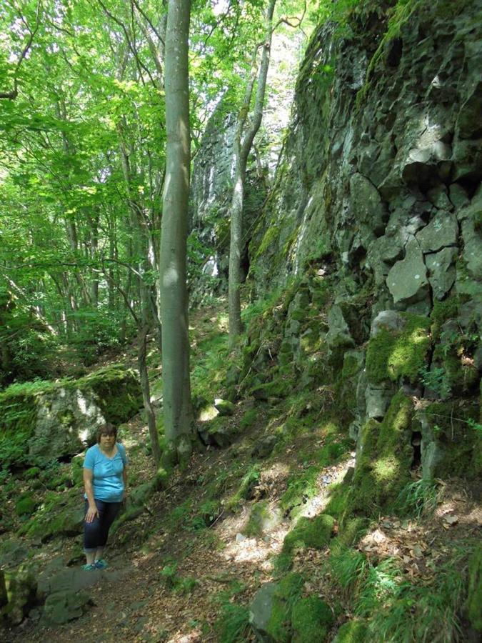 Rhoener Landhotel Haus Zur Wasserkuppe 부스텐사흐센 외부 사진